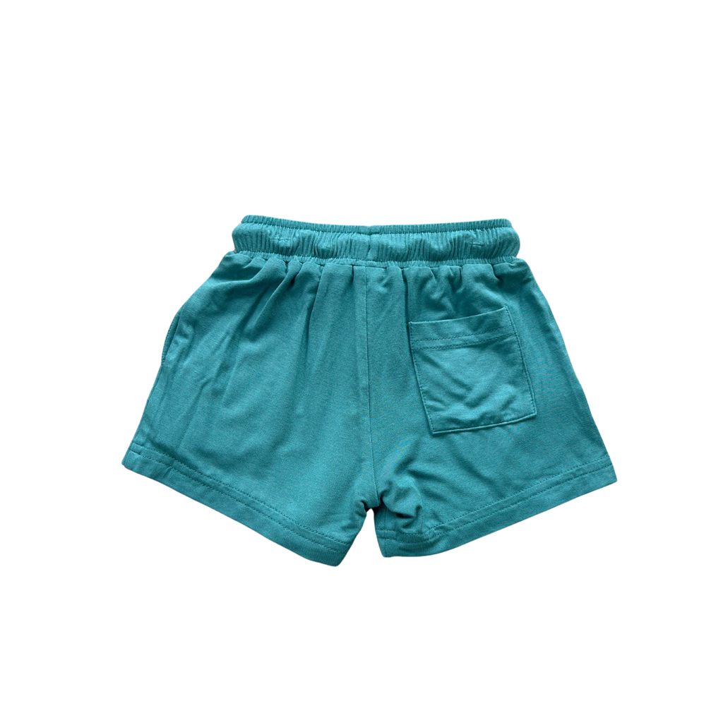 babysprouts clothing company - Boy's Everyday Shorts || Take Me To The Beach
