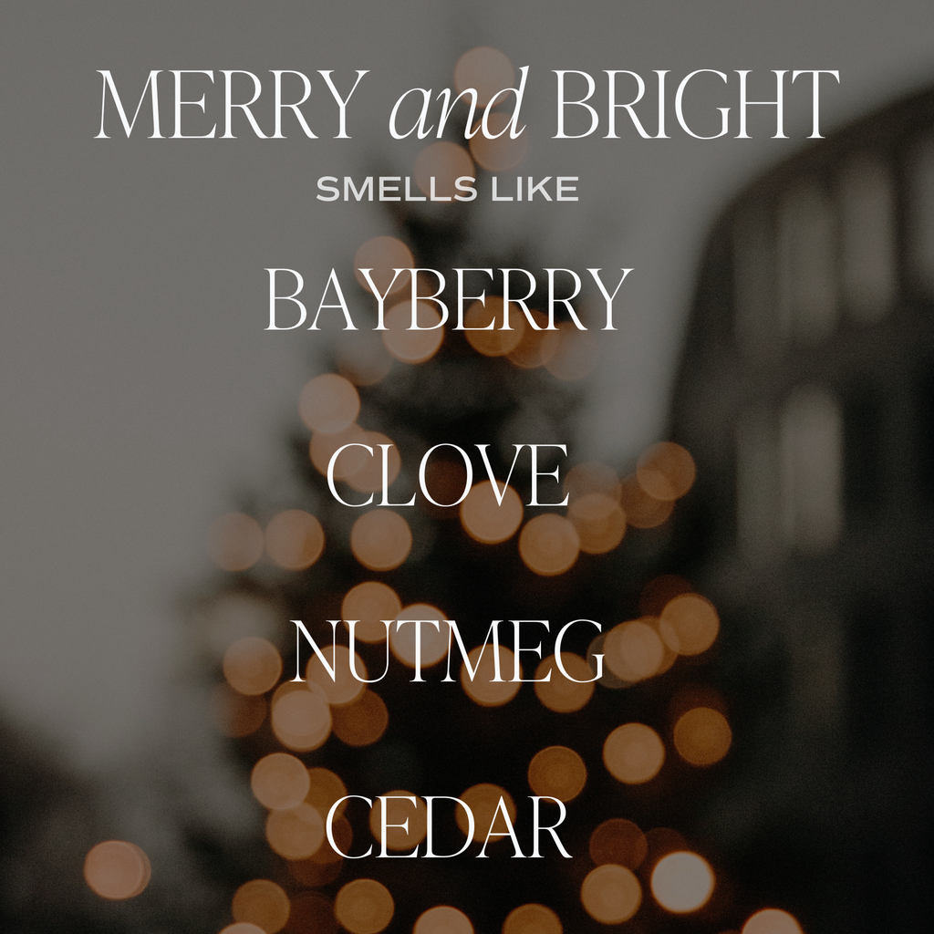 Sweet Water Decor || 9 oz Soy Candle - Merry and Bright